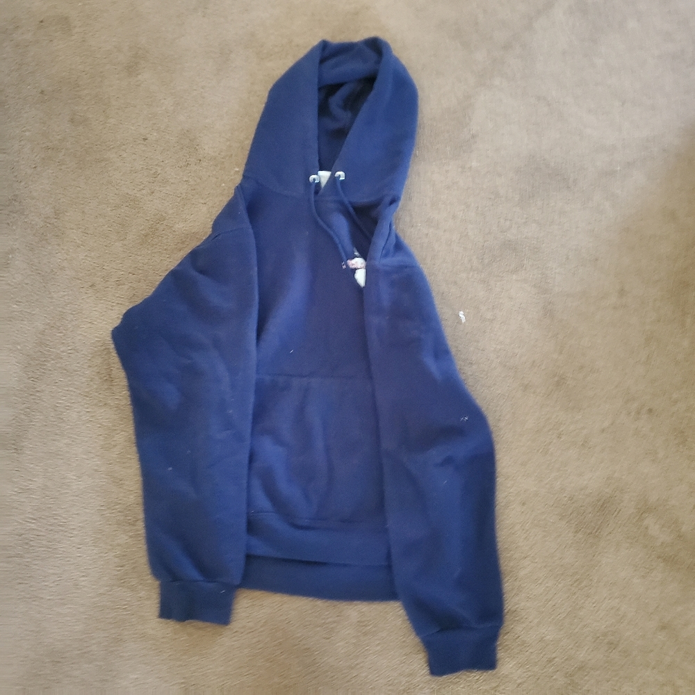 Mens Blue Hoodie